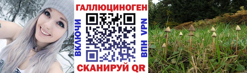 Псилоцибиновые грибы Psilocybe  mega сайт  Бирюч 